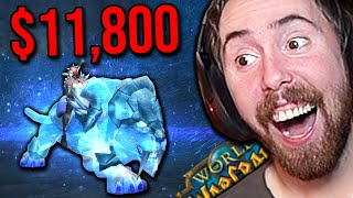 Asmongold Biggest Investment! WoW Most Expensive Mounts & Staysafe TCG Breakdown