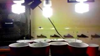 Update #4 Growing Weed at Home