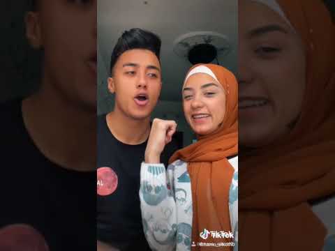 تيك توك حمو القط