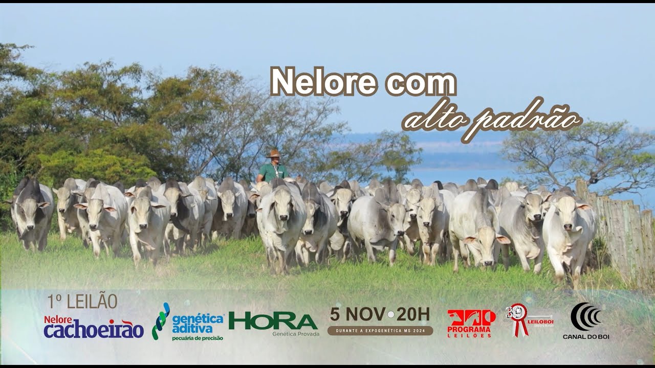 HoRa oferta touros na Expogenética MS