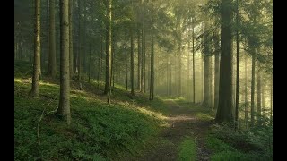 fan reading - Breaking dawn Ch5
