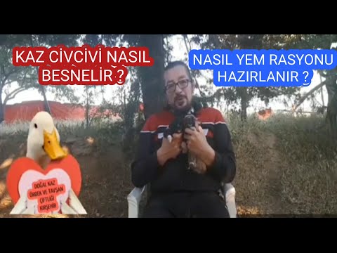 Video: Kendiniz Bir Kaz Yemi Nasıl Yapılır