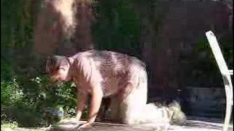 Test of Hovercraft Prototype 1