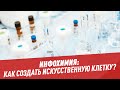 Инфохимия: как создать искусственную клетку? — Шоу Картаева и Махарадзе