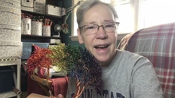 Artist of Only Trees (a completed Rainbow wire Tree)