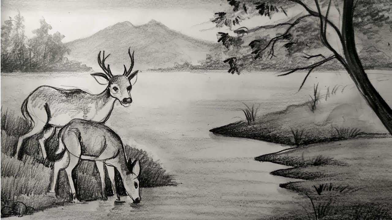 Pencil Sketch Of A Deer | DesiPainters.com