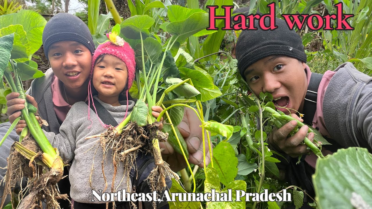 Today I planted seeds on my land || Cleaning the forest in the rain 🌧️🌱