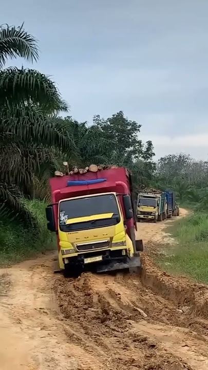 truck canter ganteng muat kayu palet #trukoleng #automobile #storywa #shortsvideo #trendingsound