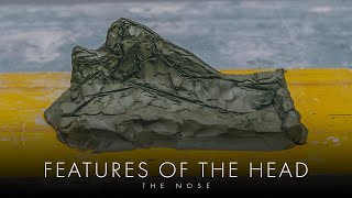 Features Of The Head - The Nose - Excerpt