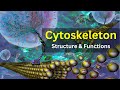 Cytoskeleton Quiz