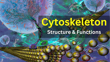 Cytoskeleton structure and function, ||Cytoskeleton class 11, || Cytoskeleton bsc 1st year