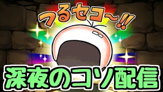 【生放送】深夜のコソ配信 【パズドラ】