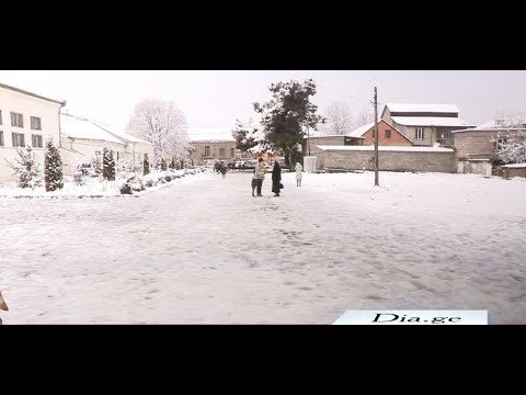 გორის მუნიციპალიტეტის საჯარო სკოლებში დიდთოვლობამ პრობლემები შექმნა-მოსწავლეები სახლში ადრე გაუშვეს