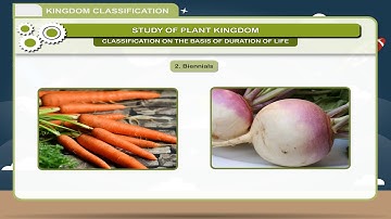 Kingdom Classification- Plants class-7