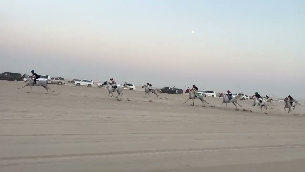 افتتاح الوفرة | مصري كبار | 7/10/2022