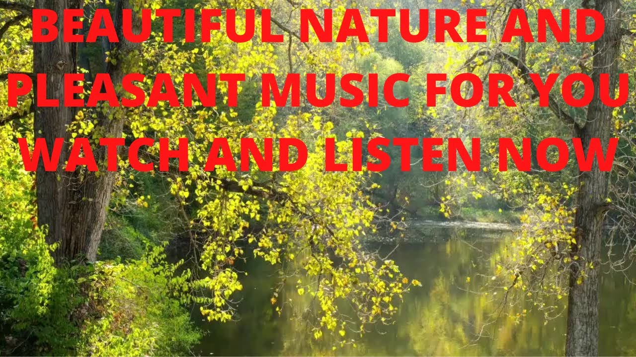 BEAUTIFUL NATURE AND PLEASANT MUSIC FOR YOU.WATCH AND LISTEN NOW YouTube