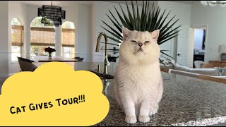 Meow welcome to our Florida House! Tour!