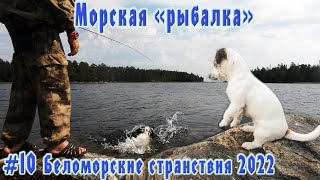 : #10  "" |   2022