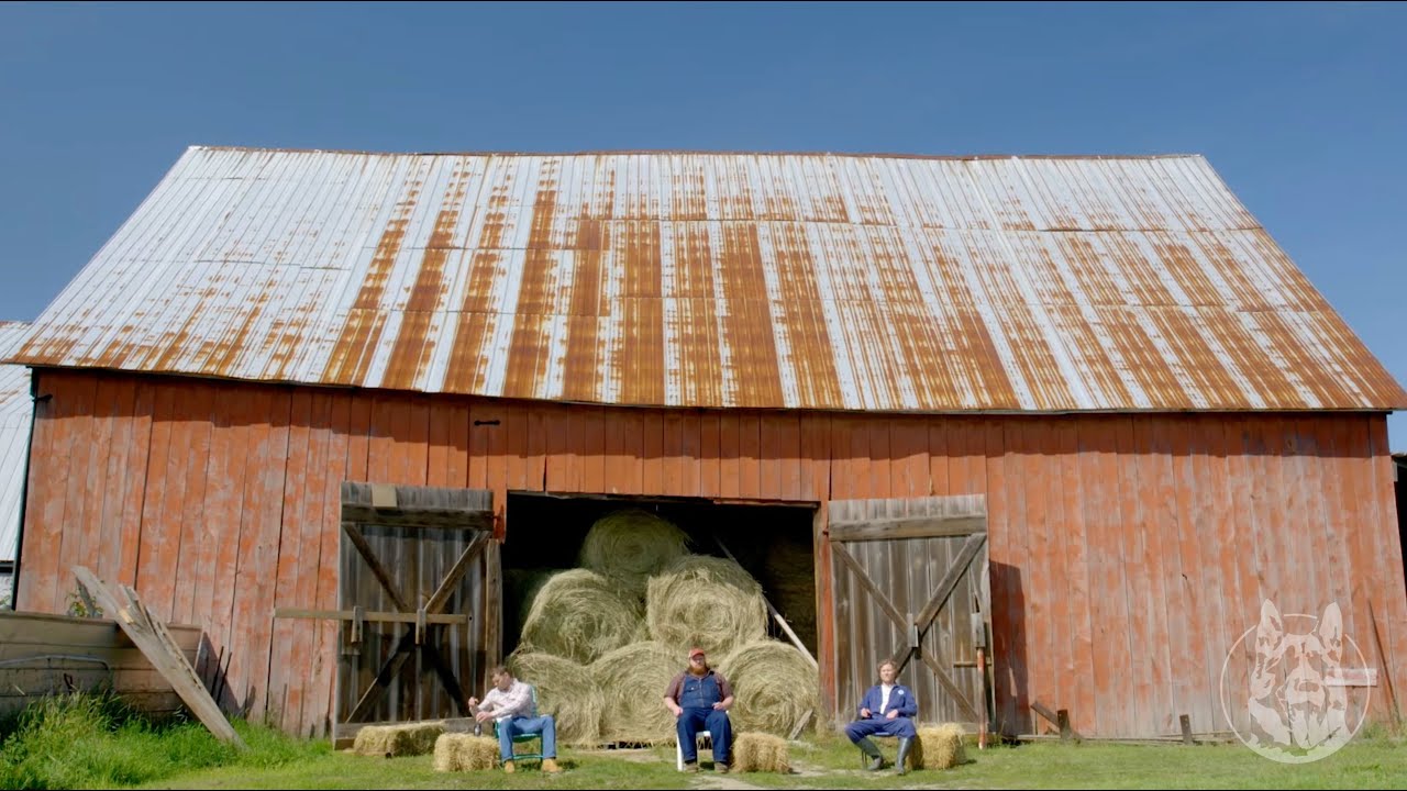 Letterkenny | Macho Dan