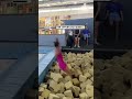 Trampoline expectations vs reality 😂💀           🎥: TikTok / maianakerr_