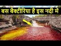 दुनिया की 10 सबसे खतरनाक नदियां | Top 10 Most Dangerous Rivers of the World