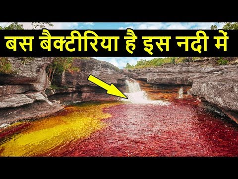 वीडियो: नए साल की छुट्टियों में कहां जाएं - शीर्ष 10 सबसे लोकप्रिय देश