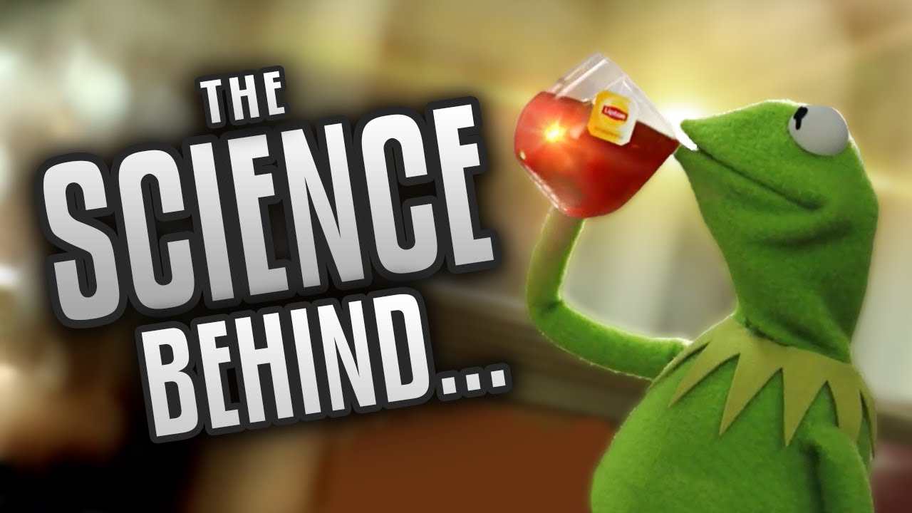 The Science Behind Kermit Memes Some Boi Online YouTube