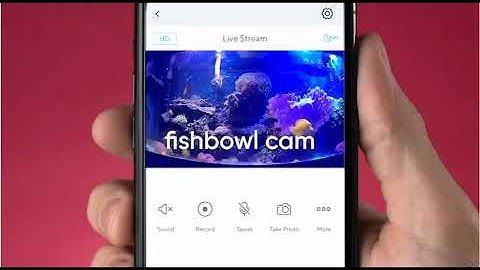 Wyze Cam v3 1080p HD Indoor/Outdoor Video Camera with Color Night Vision, 2-Way Audio.