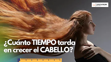 ¿Cuánto tiempo puede crecer el pelo en 3 meses?