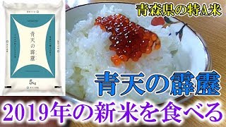 青森県が誇るブランド米【青天の霹靂】2019年の新米を食べてみたぞ！ Eating new rice from Aomori 'seiten no hekireki'