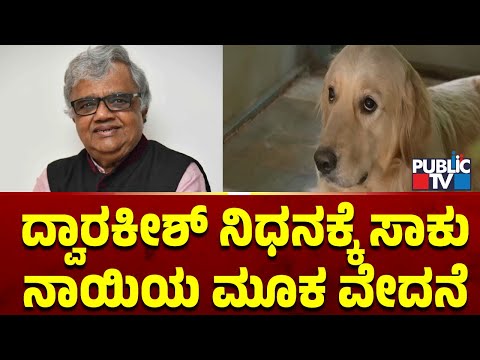 ದ್ವಾರಕೀಶ್ ನಿಧನಕ್ಕೆ ಸಾಕು ನಾಯಿಯ ಮೂಕ ವೇದನೆ | Actor Dwarakish | Public TV