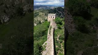 Ancient Ethiopia Minted Currency Rome Copied for 300 Years | Aksumite Empire #Shorts