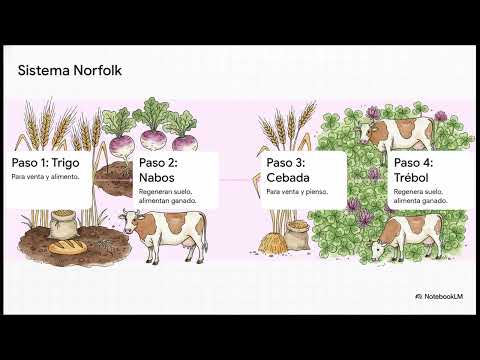 Miniatura de 03 │ La primera revolución industrial la revolución demográfica agraria y de los transportes