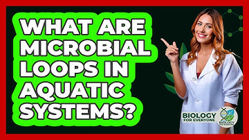 What Are Microbial Loops In Aquatic Systems? - Biology For Everyone