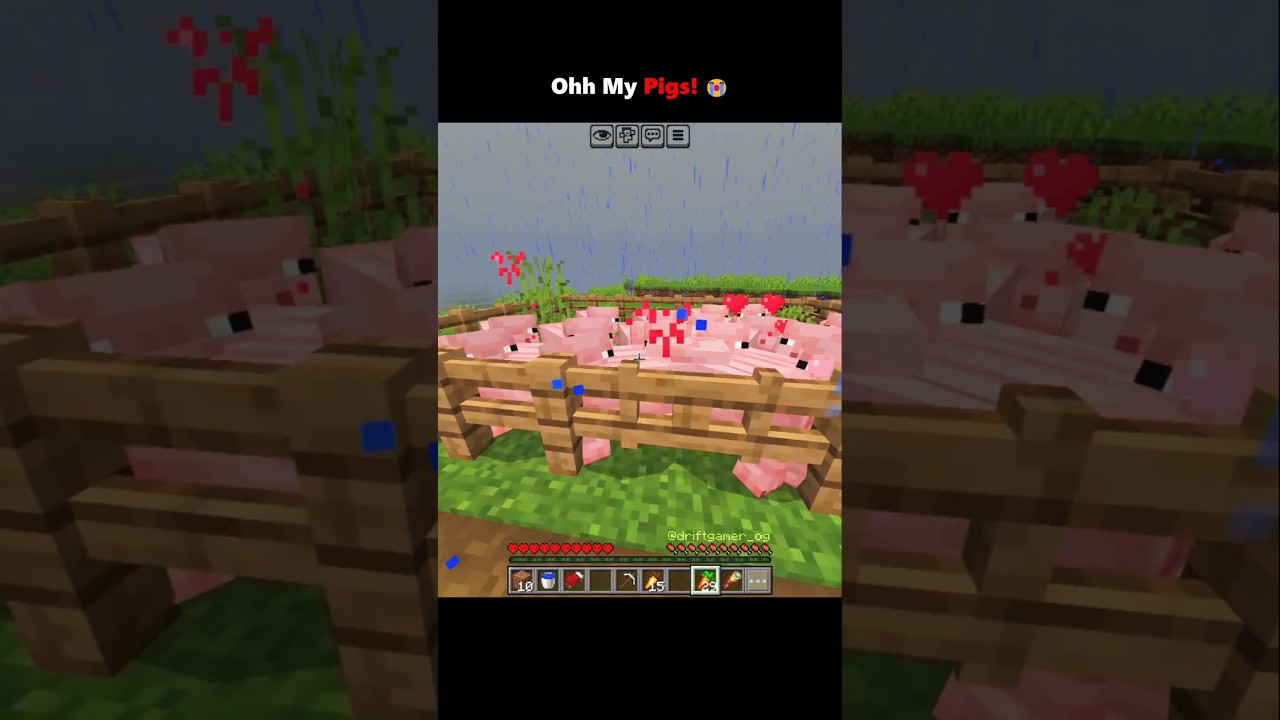 Minecraft, But Pigs are Zombies...