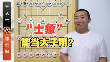 士象也当“大子”用？名局中隐藏的棋理 王天一VS郑惟桐