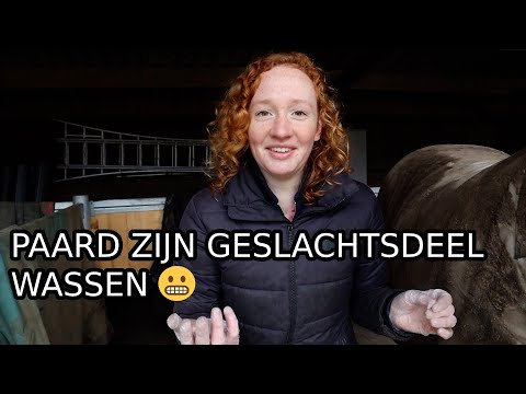 Video: Hoe Bontkraag Schoon Te Maken?