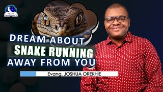 Dream About Snake Escaping Or Running Away From You