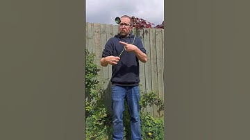 Reverse Brent Stole Yoyo Trick - With Slowmo 🪀 #yoyo #yoyotricks #yoyoing #gr33nrobot #shorts