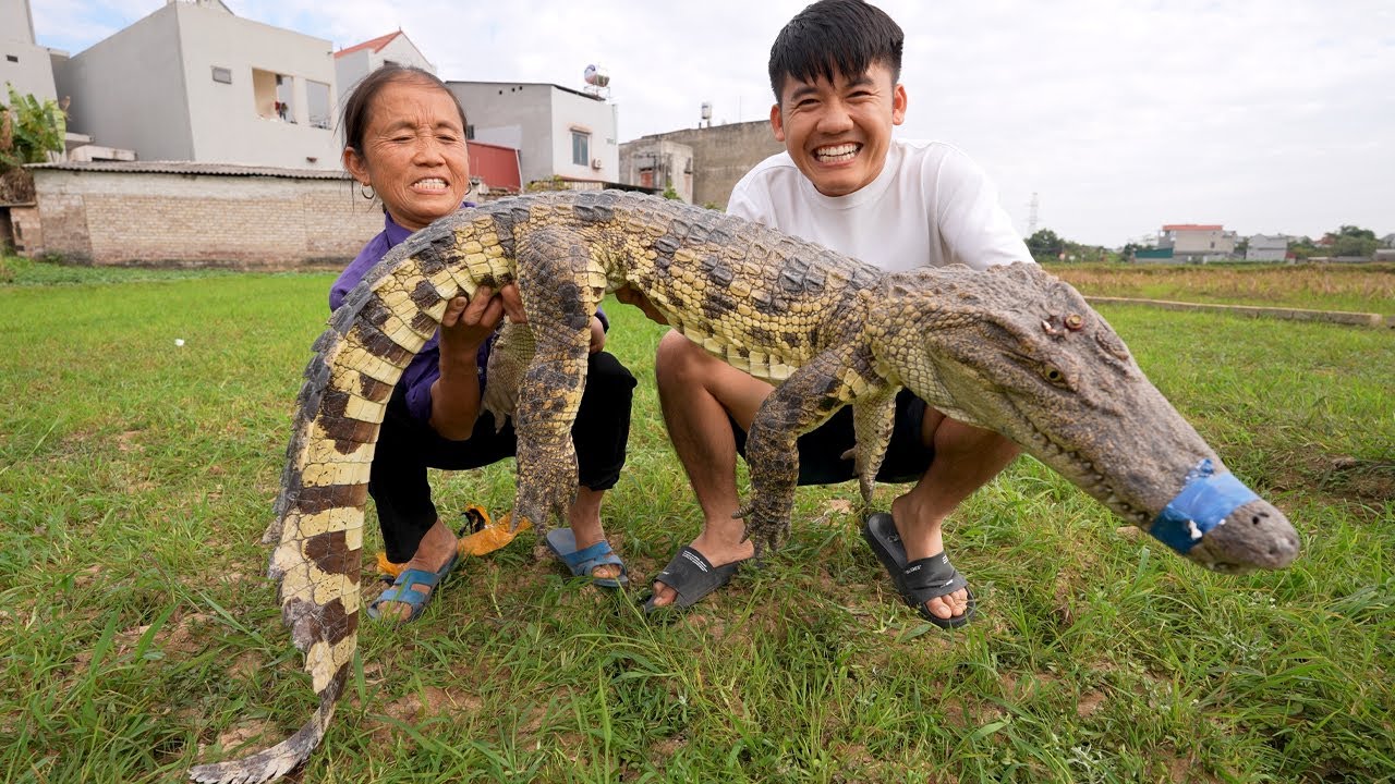 Hưng Vlog - Troll Mẹ Tặng Mẹ Con Cá Sấu Khổng Lồ Đem Nướng Siêu Cay Và Cái KẾt