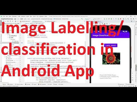 How to implement image classification/ labelling method in your Android App?