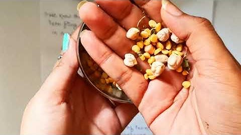 ICSE CLASS 6 | CH-3 | Mixture and their Separations | PART-1