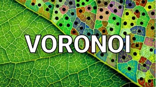 I Cracked The Code Behind Nature! ( Voronoi Diagram Explanation )