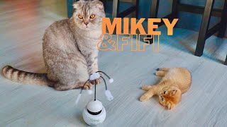 My Sister & New Toys 🧸 خواهرم و اسباب بازیاش by Mikey cat 5,303 views 11 months ago 8 minutes, 43 seconds