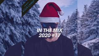 DiMO (BG) [2020 #17] In The Mix Podcast [Production Mix]