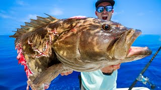 Giant Fish Are Dying. They Don't Have To (Catch, Clean & Cook Grouper) by Ryan Morie 352,538 views 11 months ago 45 minutes