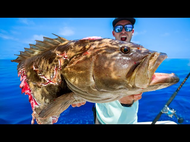 Monster Yellowfin Tuna Under Massive Oil Rig! Catch Clean & Cook (NLBN Lure Tuna  Fishing) 