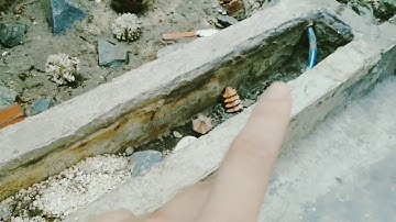 Setup bể cá ngoài trời đơn giản ( Setup Outdoor Aquarium Ideas )