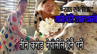 च्याउ खेतिले नया जीवन दिदै | बेलडाँगी मा च्याउ खेति बाट यति राम्रो आम्दामी | Mushroom Farming Nepal