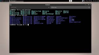 2 How To Start The Tor Service On Void Linux